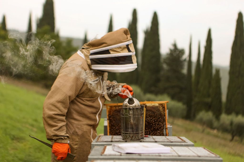 Apicoltore che utilizza un affumicatore mentre lavora su un'arnia in un campo.