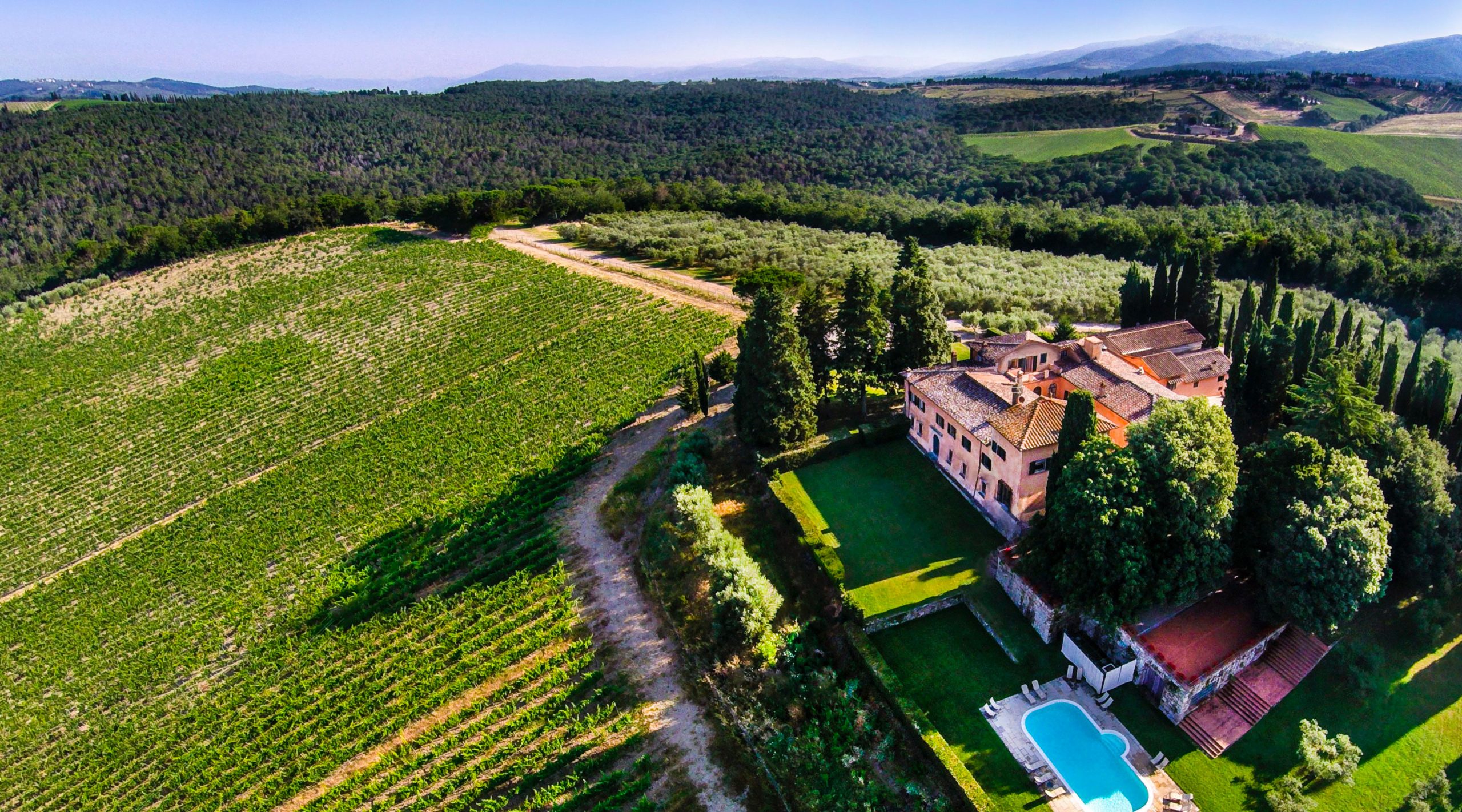 Cena sotto le stelle nel Chianti Classico: a Nozzole con i vini Folonari e la bistecca del Cecchini Cena sotto le stelle nel Chianti Classico: a Nozzole con i vini Folonari e la bistecca del Cecchini