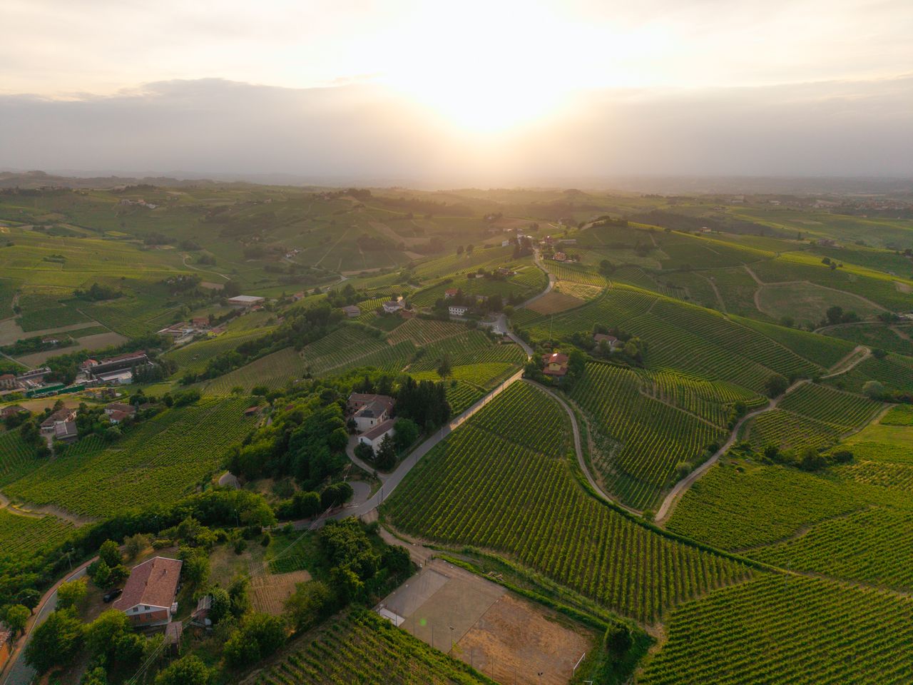 Vite, benessere e calici d’autore: ecco perché l’autunno nel Monferrato acquese è la meta ideale