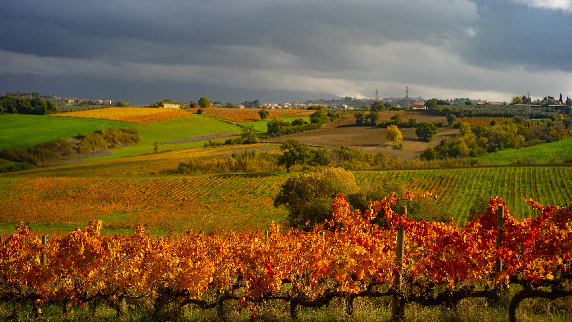 Cantico della terra umbra: vent’anni di grande Sagrantino e poesia enologica firmati Arnaldo Caprai Cantico della terra umbra: vent’anni di grande Sagrantino e poesia enologica firmati Arnaldo Caprai